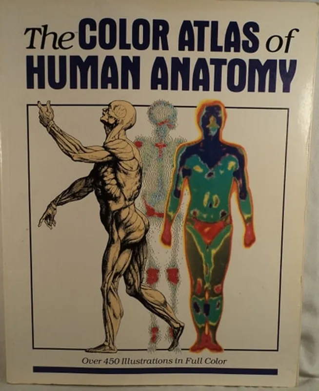 The Color Atlas of Human Anatomy (English and Italian Edition) - Vanio Vannini Exclusieve Aanbieding