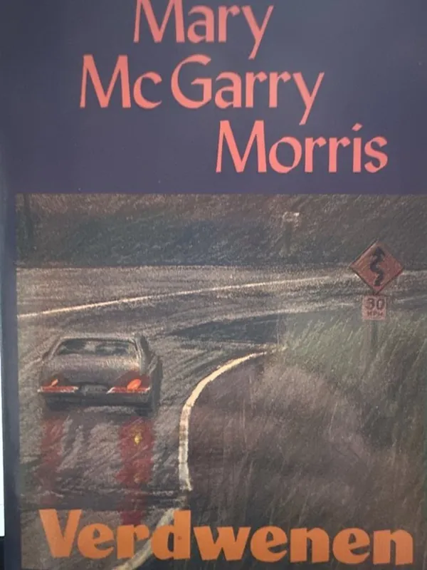 Verdwenen - Mary McGarry Morris Lage Kosten