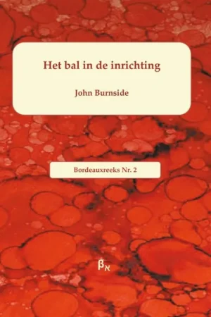 Het bal in de inrichting - John Burnside Dagaanbieding