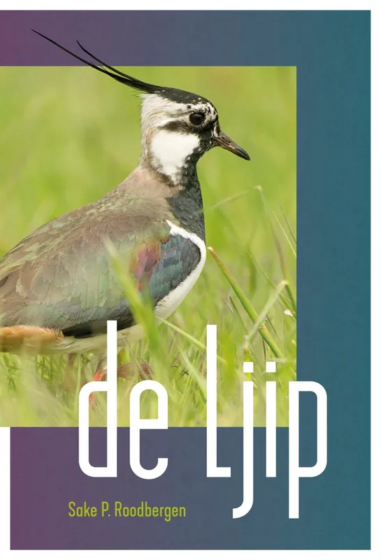 De Ljip - Sake P. Roodbergen Betaalbaar