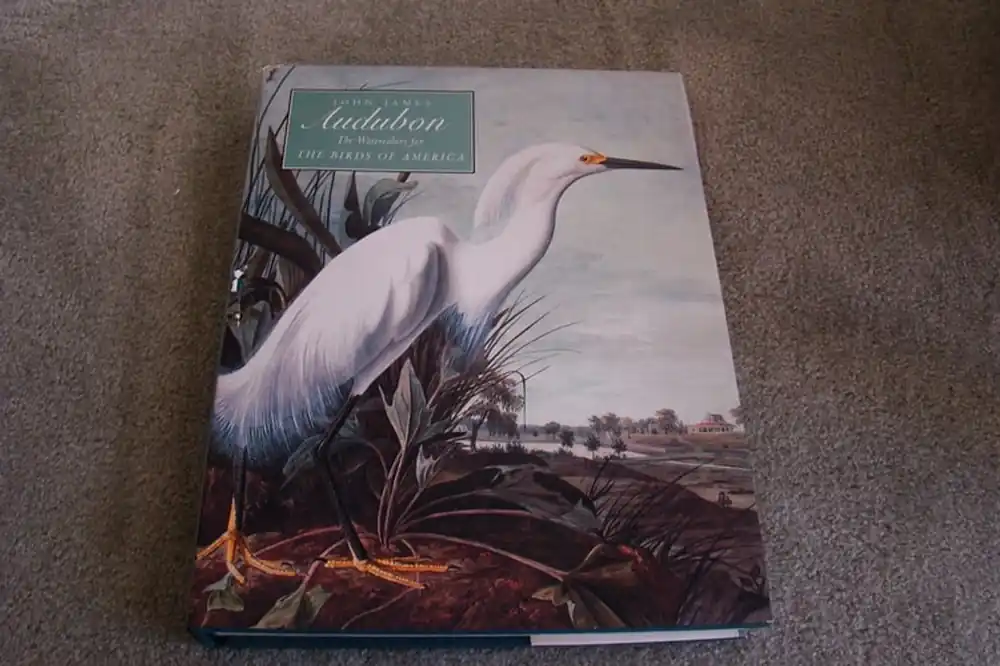 John James Audubon: The Watercolors for the Birds of America - Annette Blaugrund Lage Kosten