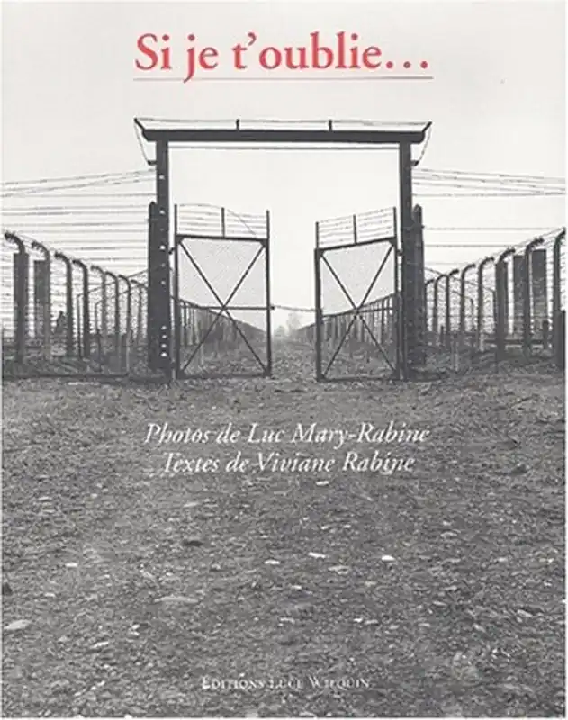 Gratis Verzending Si je t'oublié (French Edition) - Luc Mary-Rabine, Viviane Rabine