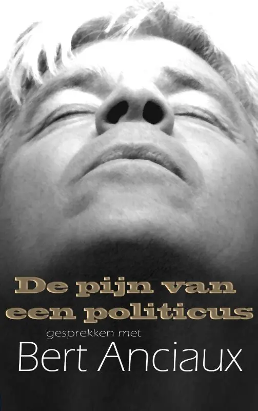 Goedkoop De pijn van een politicus - L. Alloo