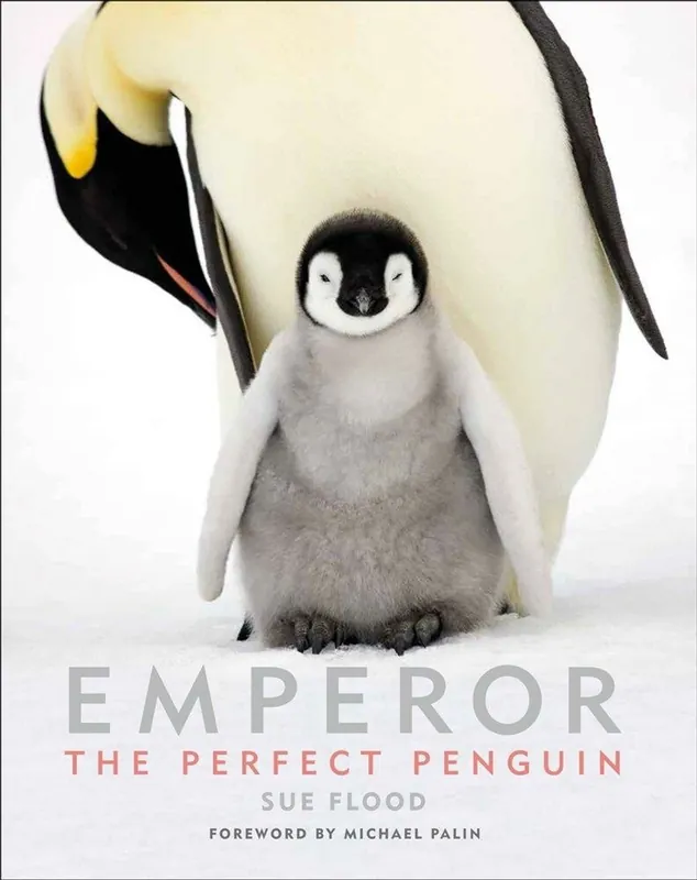 Emperor, the perfect penguin - Sue Flood Hete Deal