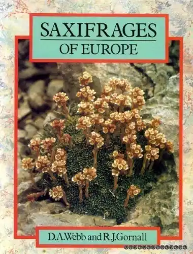 Saxifrages of Europe. With notes on African, American and some Asiatic Species - Gornall, R.J.|Webb, D.A. Korting