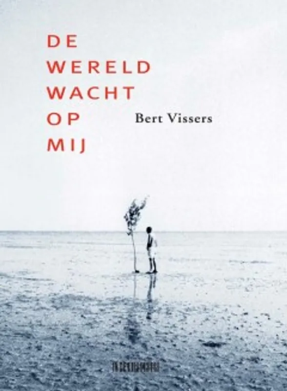 Direct Beschikbaar De wereld wacht op mij - Bert Vissers