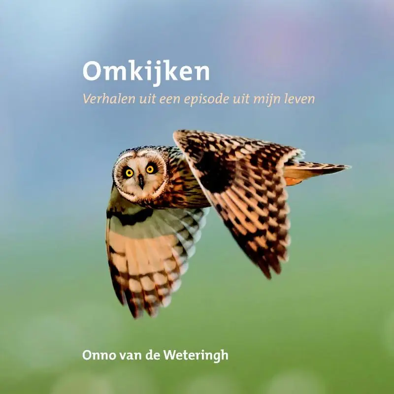 Hoge Kwaliteit Omkijken - Onno van de Weteringh