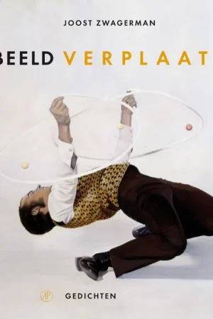 Hete Deal Beeld verplaatst - Joost Zwagerman