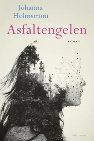 Asfaltengelen - Johanna Holmström Exclusieve Aanbieding