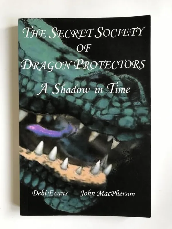 Goedkoop A Shadow in Time - Debi Evans, John MacPherson