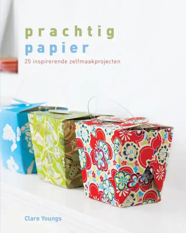 Gereduceerde Prijs Prachtig papier - Clare Youngs