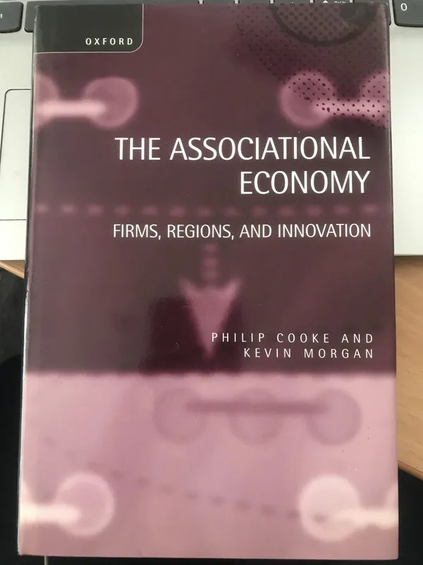 Laatste Kans The Associational Economy / Firms, Regions, and Innovation - Cooke, Philip (Professor of Regional Development, Professor of Regional Development, University of Wales, Cardiff), Morgan, Kevin (Professor of European Regional Development, Professor of European Regional Development, University of Wales, Cardiff)