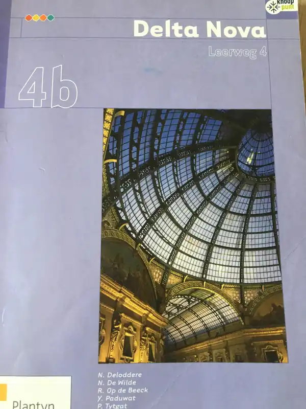 Leerboek (4u) - N. Deloddere Weekendaanbieding