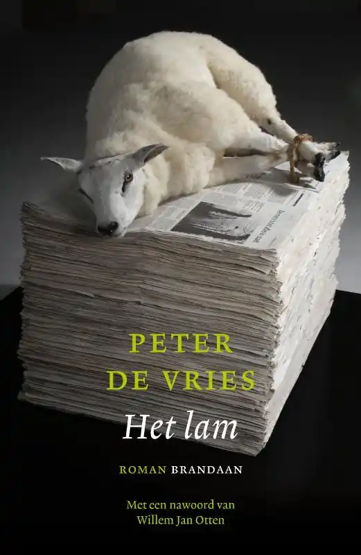 Rechtstreeks Van De Fabrikant Het lam - P. de Vries