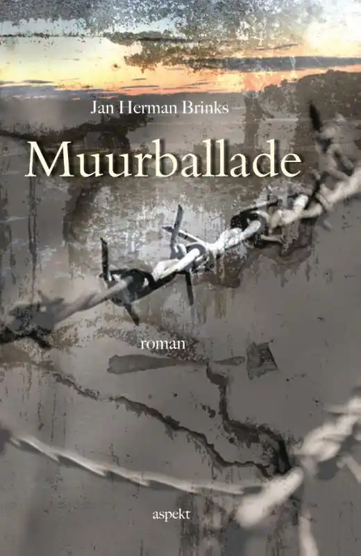 Direct Beschikbaar Muurballade - Jan Herman Brinks