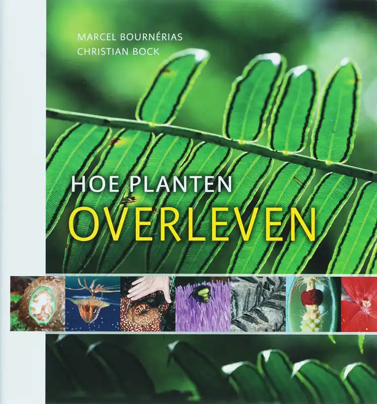 Flitsaanbieding Hoe planten overleven - M. Bournerias; C. Bock