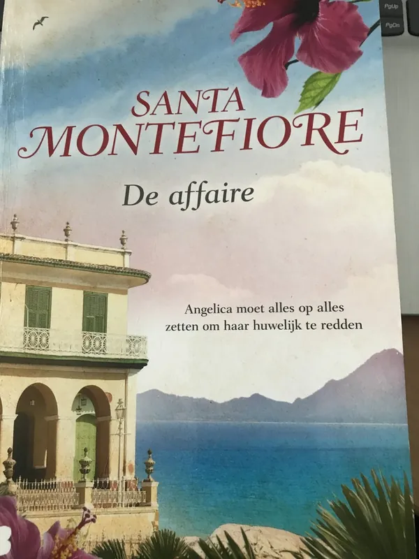 Must-Have De affaire - Santa Montefiore