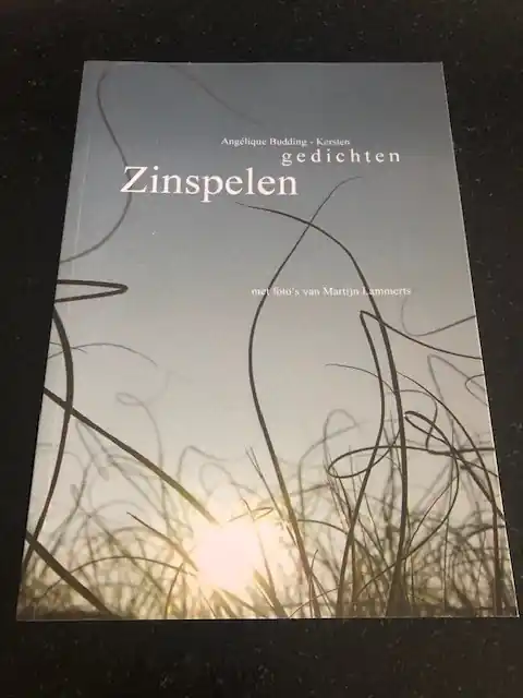 Zinspelen - A. Budding-Kersten Lage Kosten