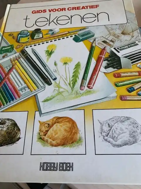 Meest Verkocht Gids voor creatief tekenen - Foster