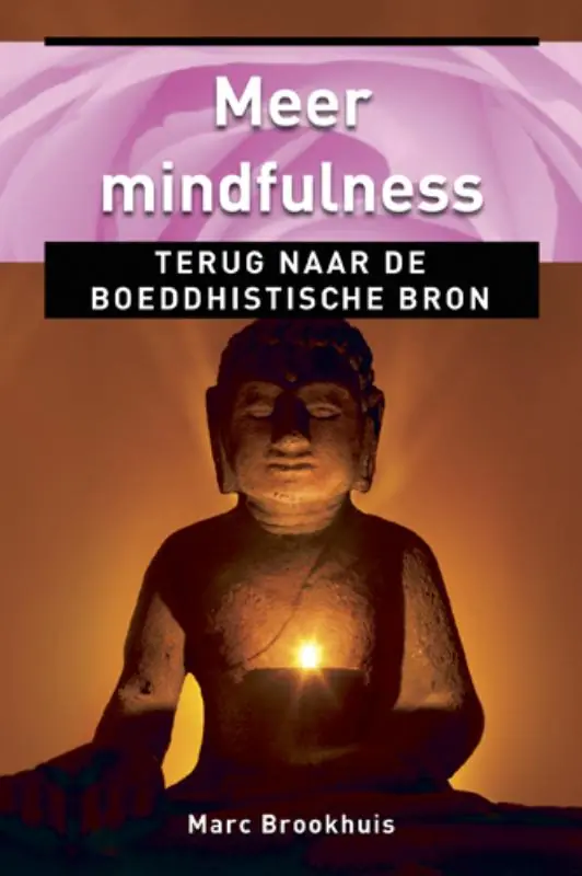 Dagaanbieding Meer mindfulness - Marc Brookhuis