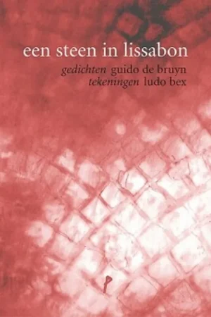 Betrouwbaar Een steen in Lissabon - Guido De Bruyn