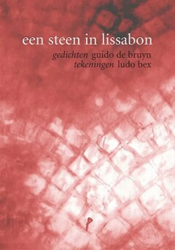 Betrouwbaar Een steen in Lissabon - Guido De Bruyn