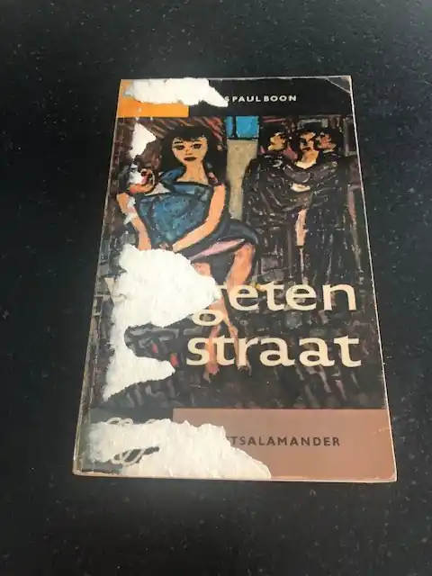 Rechtstreeks Van De Fabrikant Vergeten straat - Louis Paul Boon