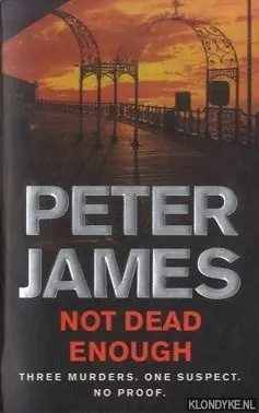 Alleen Vandaag Not Dead Enough: Three Murders. One Suspect. No Proof - James Peter