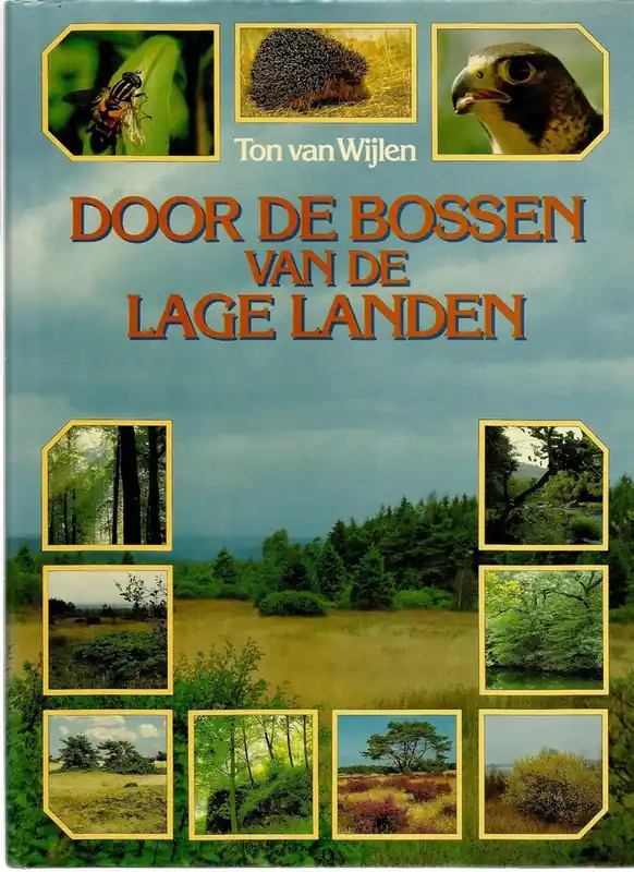 Bestseller Door de bossen van de lage landen - Wylen