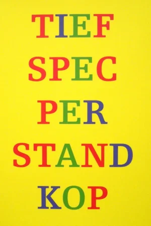 Kopstandperspectief - Dirk De Boeck Bestseller