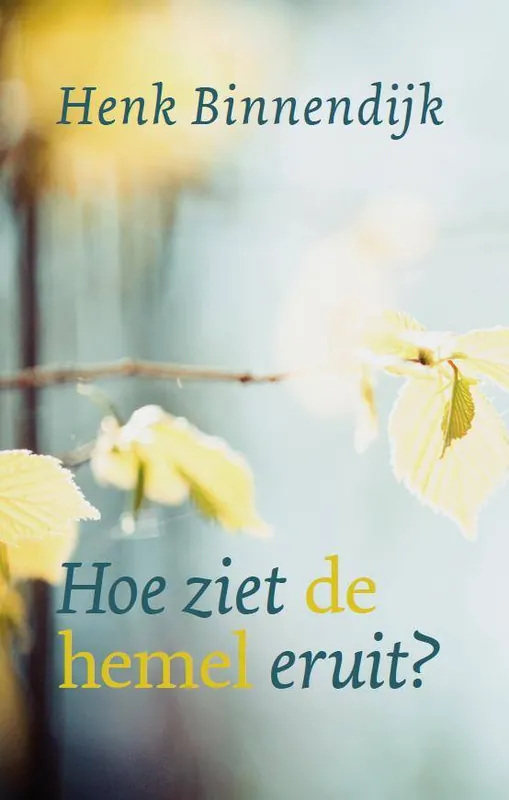Snelle Levering Hoe ziet de hemel eruit? / Druk 5