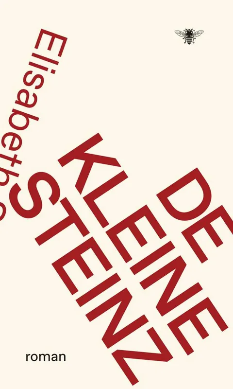 Rechtstreeks Van De Fabrikant De kleine Steinz / Druk 1