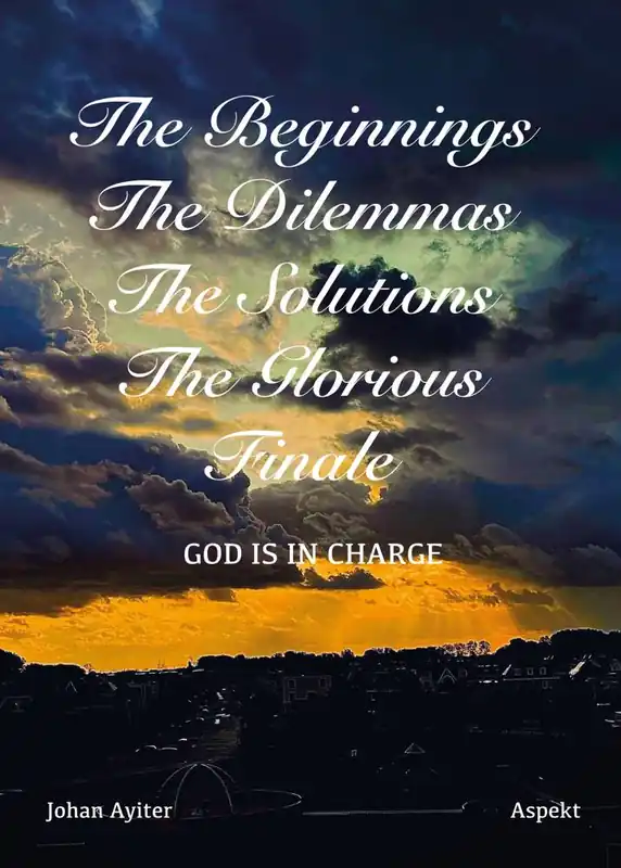 Snelle Levering The Beginnings, The Dilemmas, The Solutions, The Glorious Finale / 1st Edition