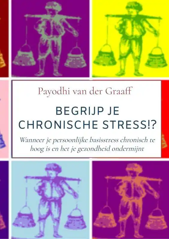 Voordeelprijs Begrijp Je Chronische Stress!? / Druk 2