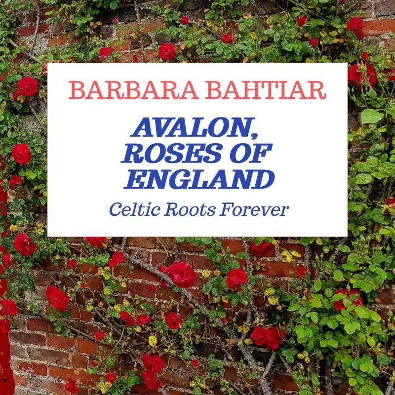Avalon, Roses of England / 1st Edition Bestseller