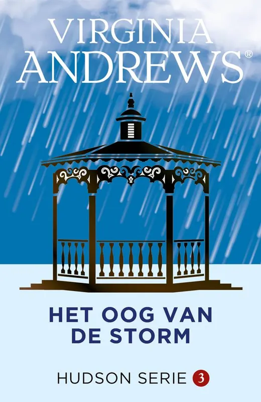 Het oog van de storm / Druk 4 Betaalbaar