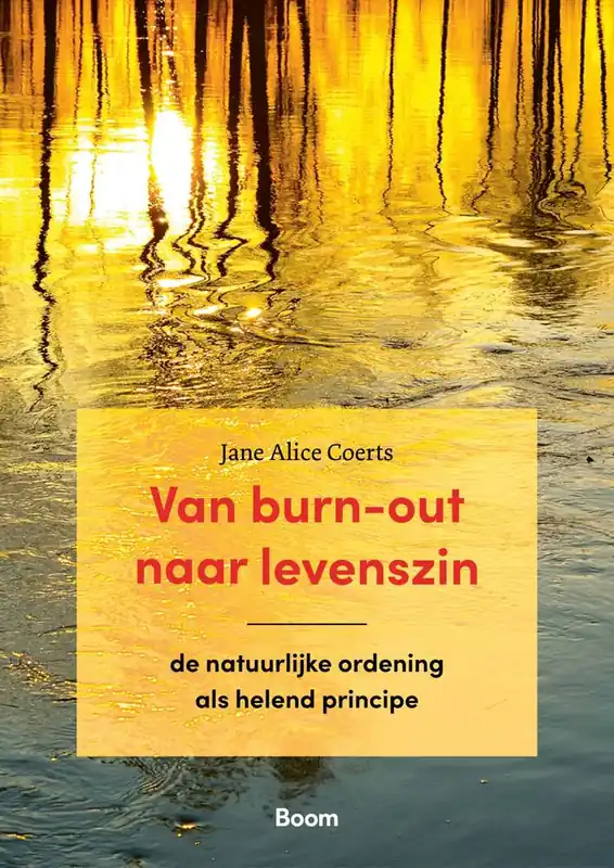 Betrouwbaar Van burn-out naar levenszin / Druk 1