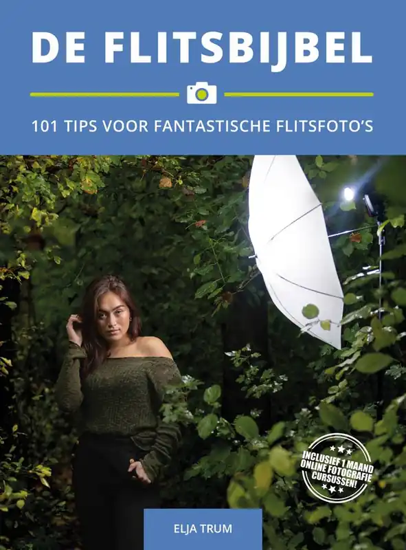 Direct Beschikbaar De Flitsbijbel / Druk 1