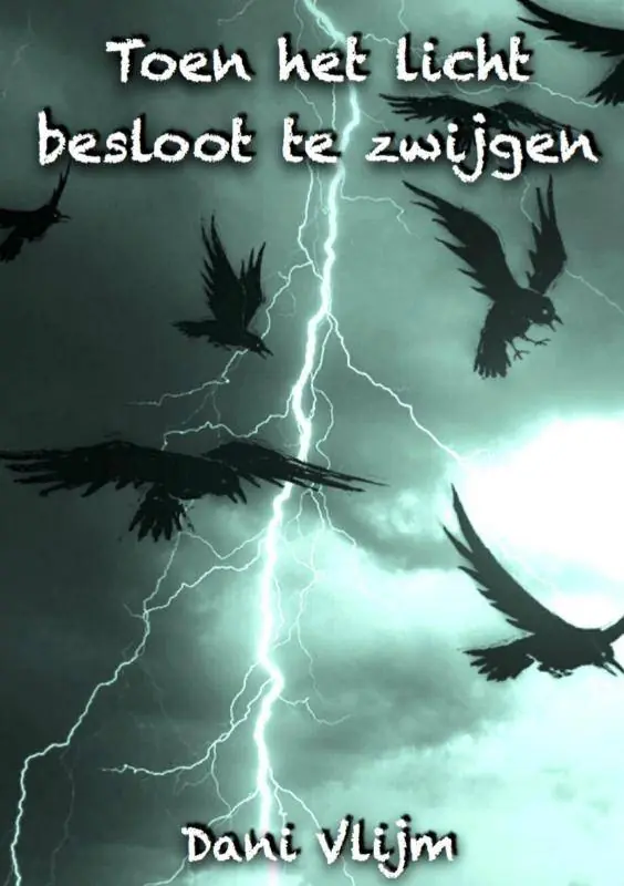 Populair Toen het licht besloot te zwijgen / Druk 1