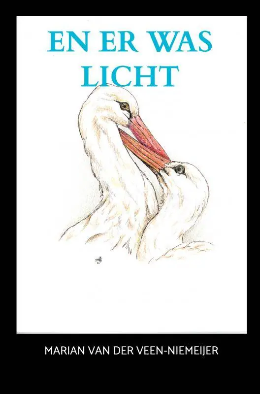 Hete Deal En er was licht / Druk 2
