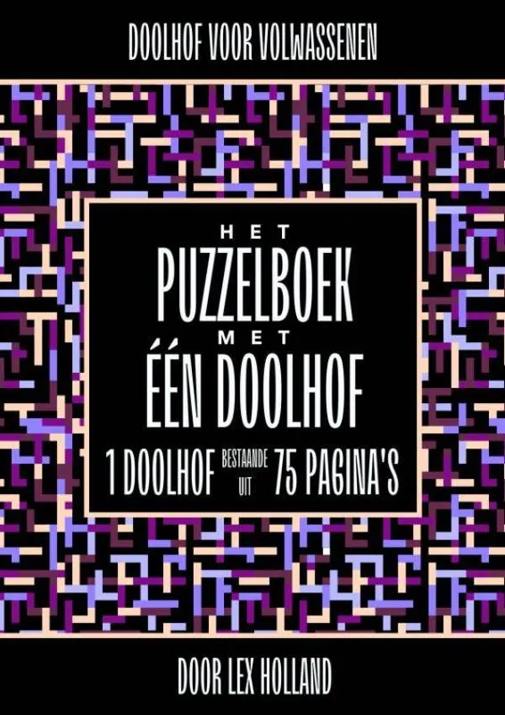 Nieuw Doolhof voor Volwassenen - Het Puzzelboek met Eén Doolhof / Druk 1
