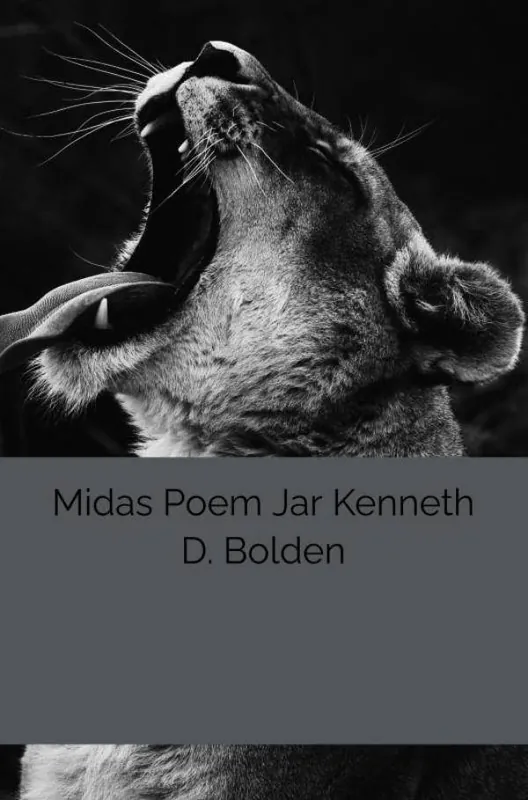 Express Levering Midas Poem Jar Kenneth D. Bolden / 1st Edition