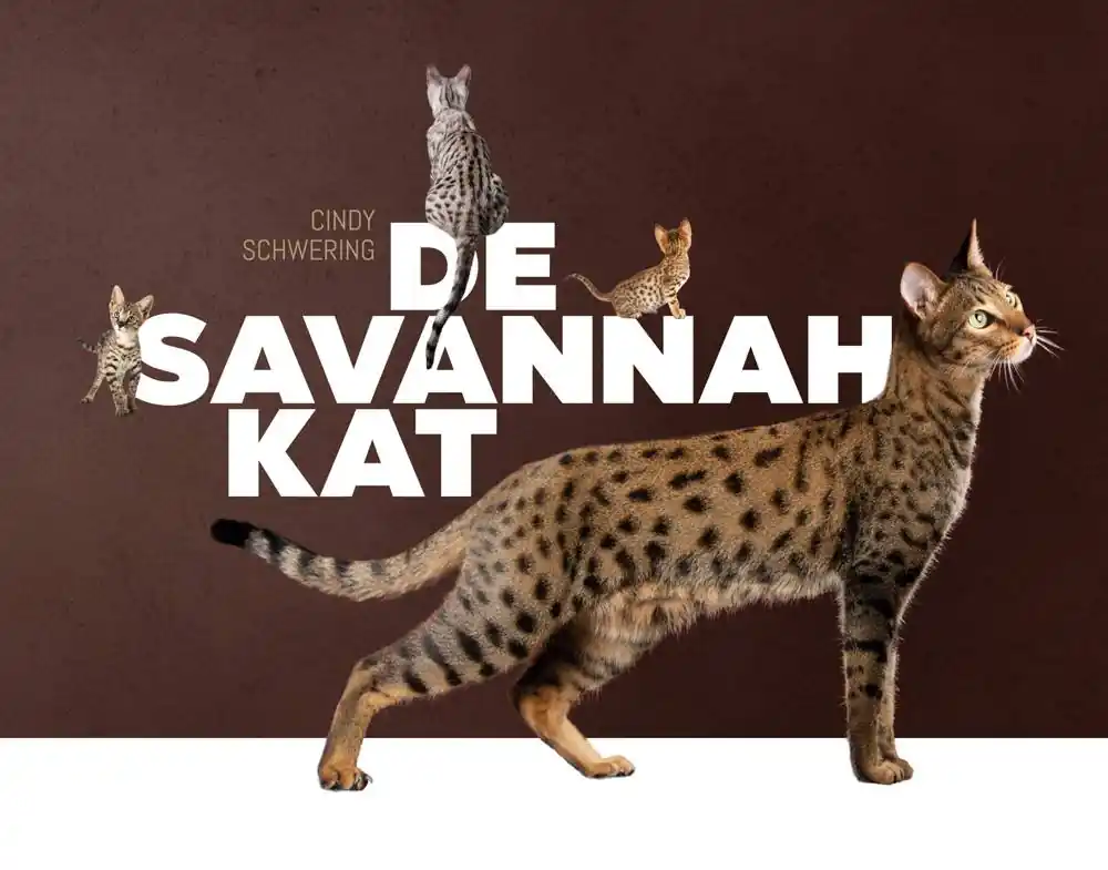 De Savannah kat / Druk 1 Fabrieksprijs