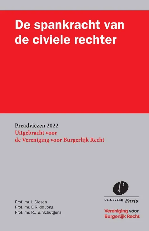 De spankracht van de civiele rechter / Druk 1 Tijdelijk Beschikbaar